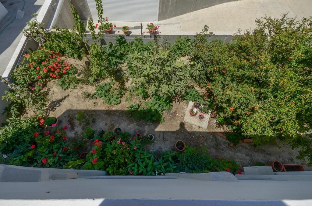 Agia Anna  Margaritis Apartments חדר תמונה